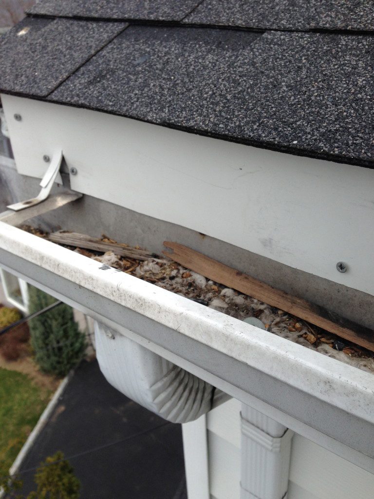 Clogged house gutter with debris