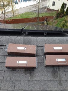 Traps on a shingled rooftop