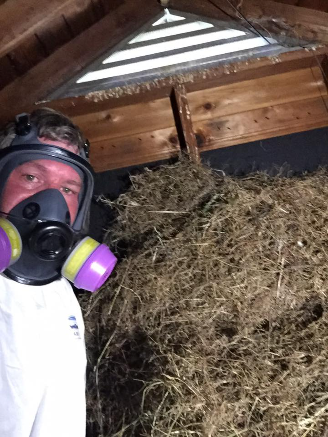 Individual in mask beside hay pile