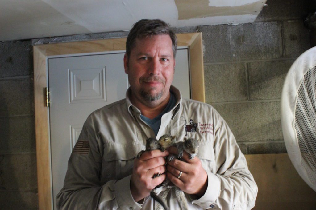 Individual with chicks in hands indoors