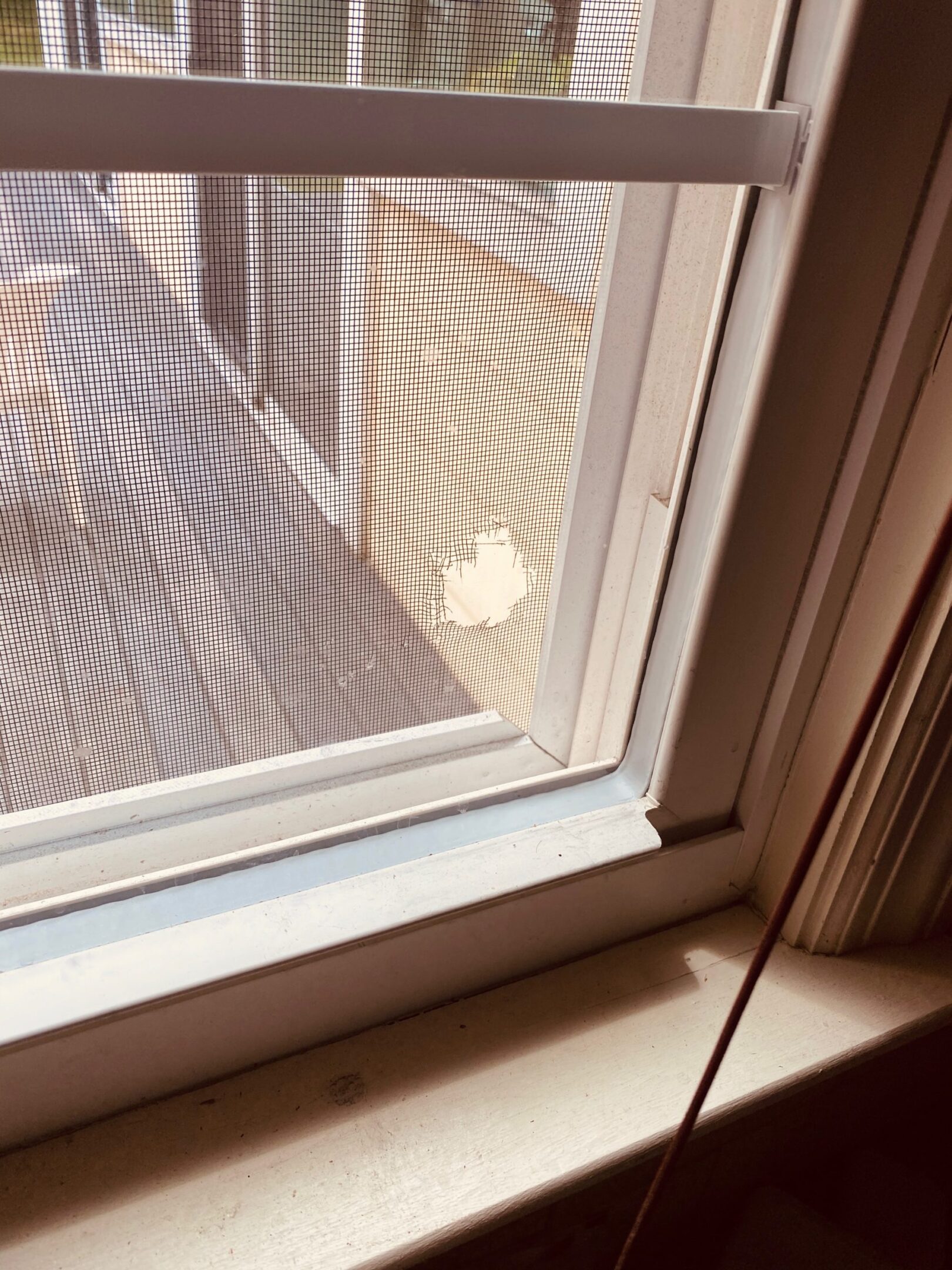Damaged window screen close-up