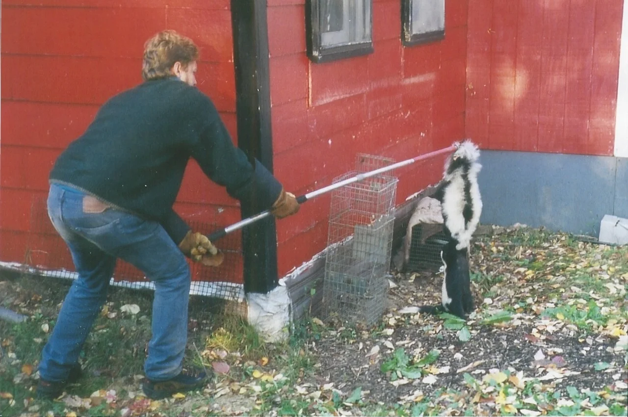 Two Skunk