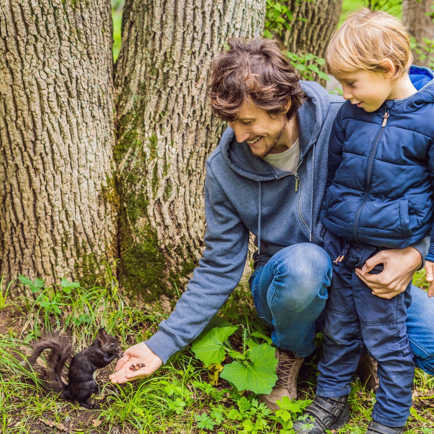 Dad and son feed a squirrel in the park