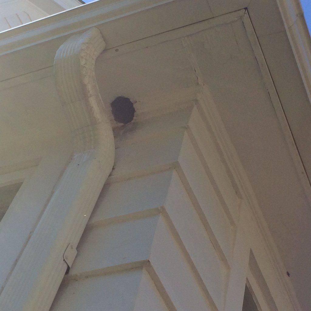 Gutter with hole on house corner