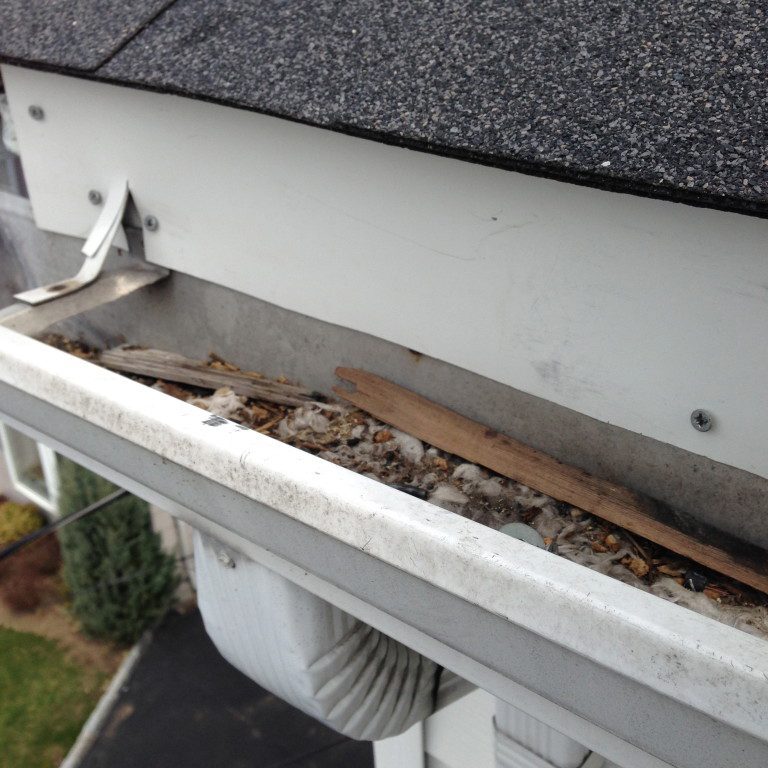 Clogged house gutter with debris