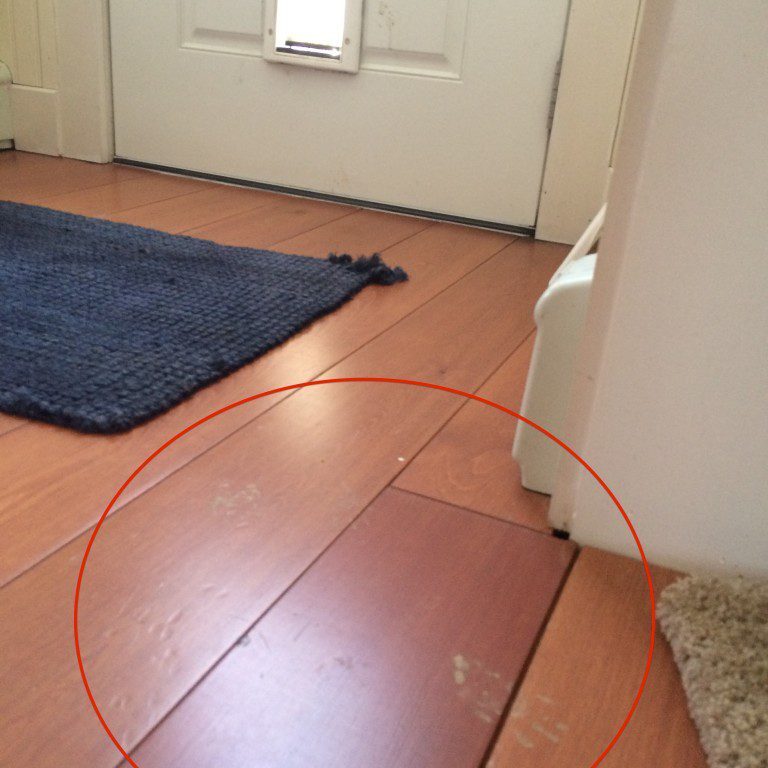 Floor scratches by door entrance
