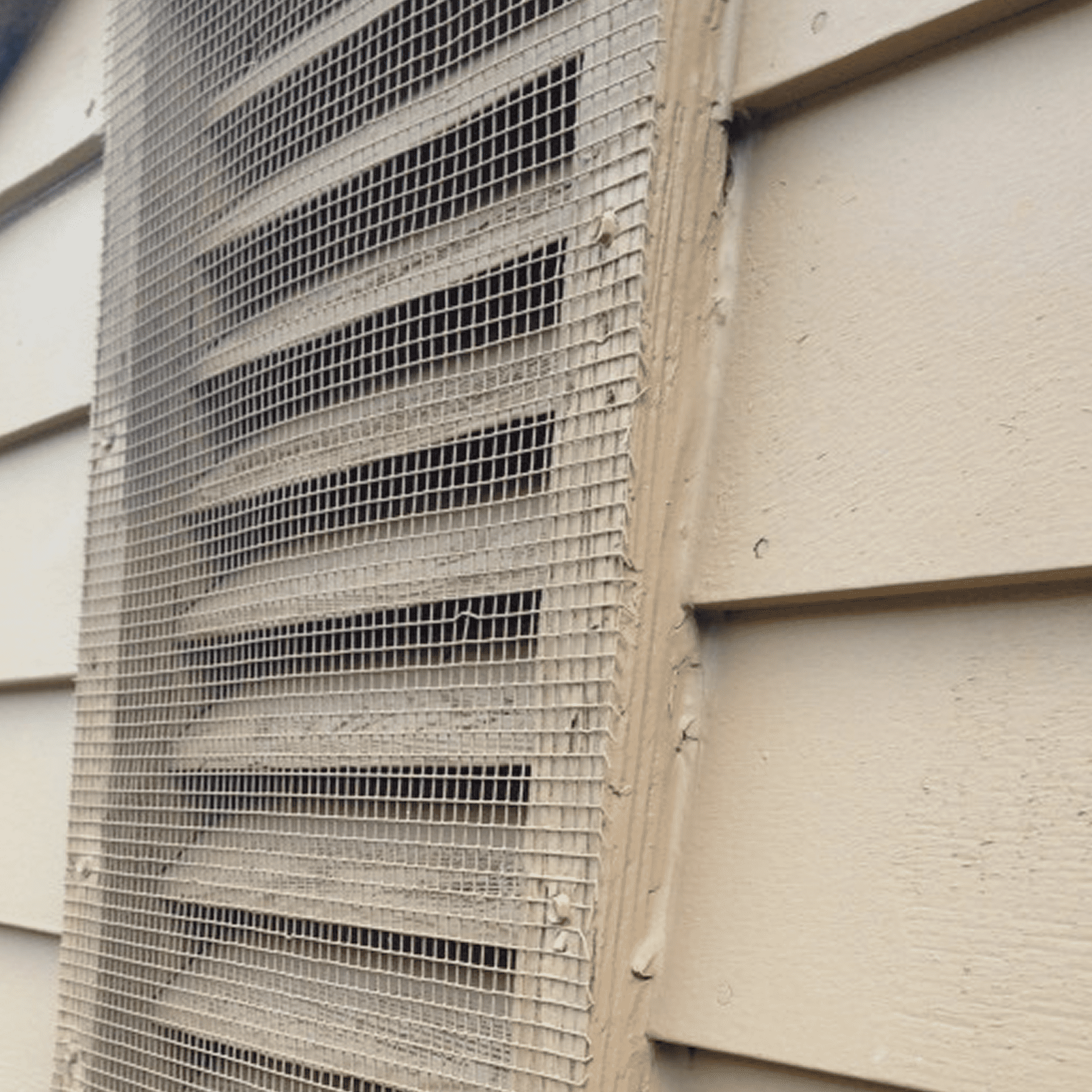 Exterior vent with protective mesh