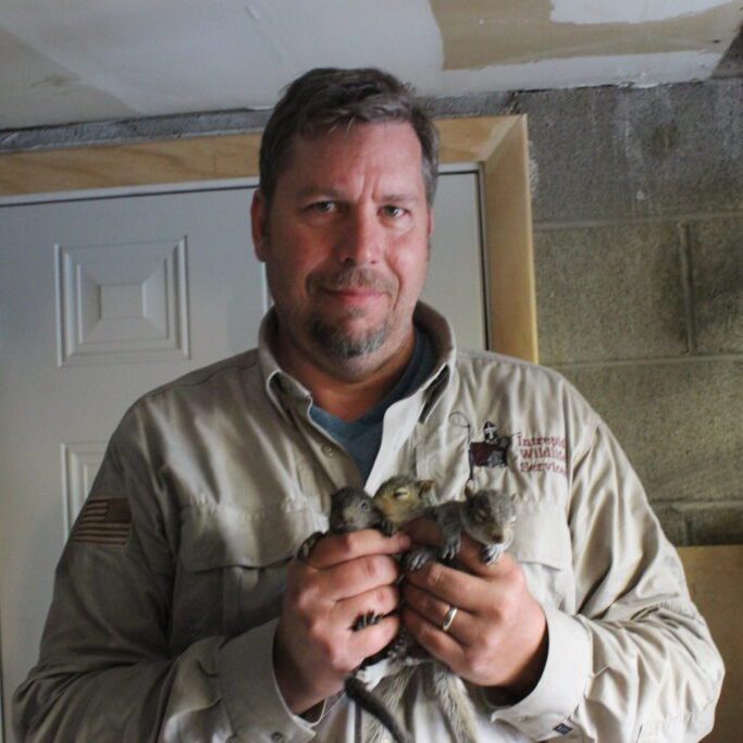 Individual with chicks in hands indoors
