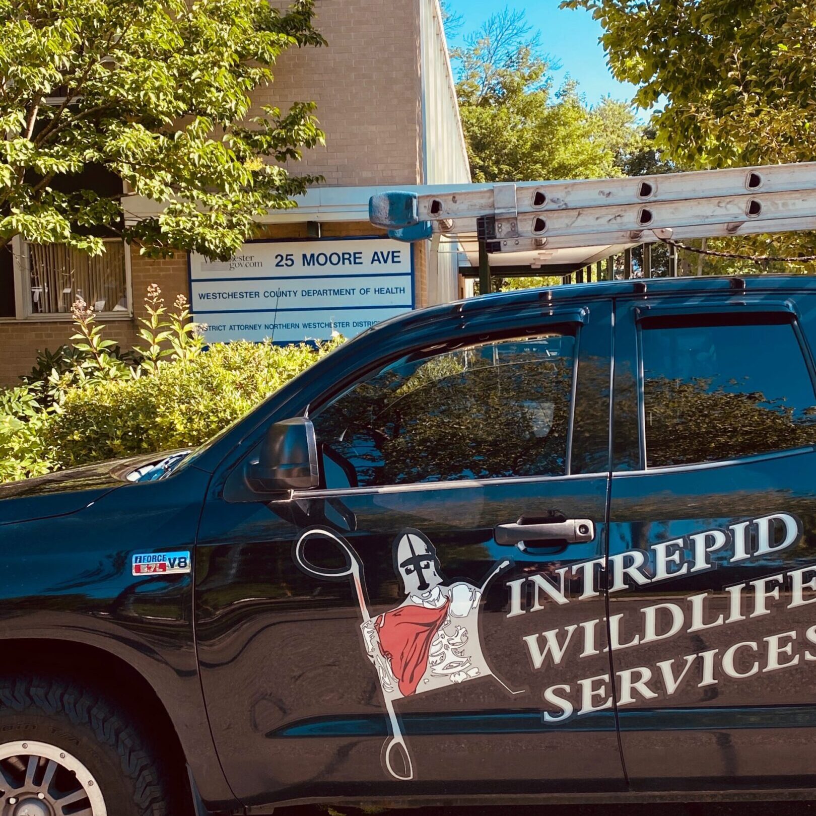 Intrepid Wildlife Services vehicle near sign