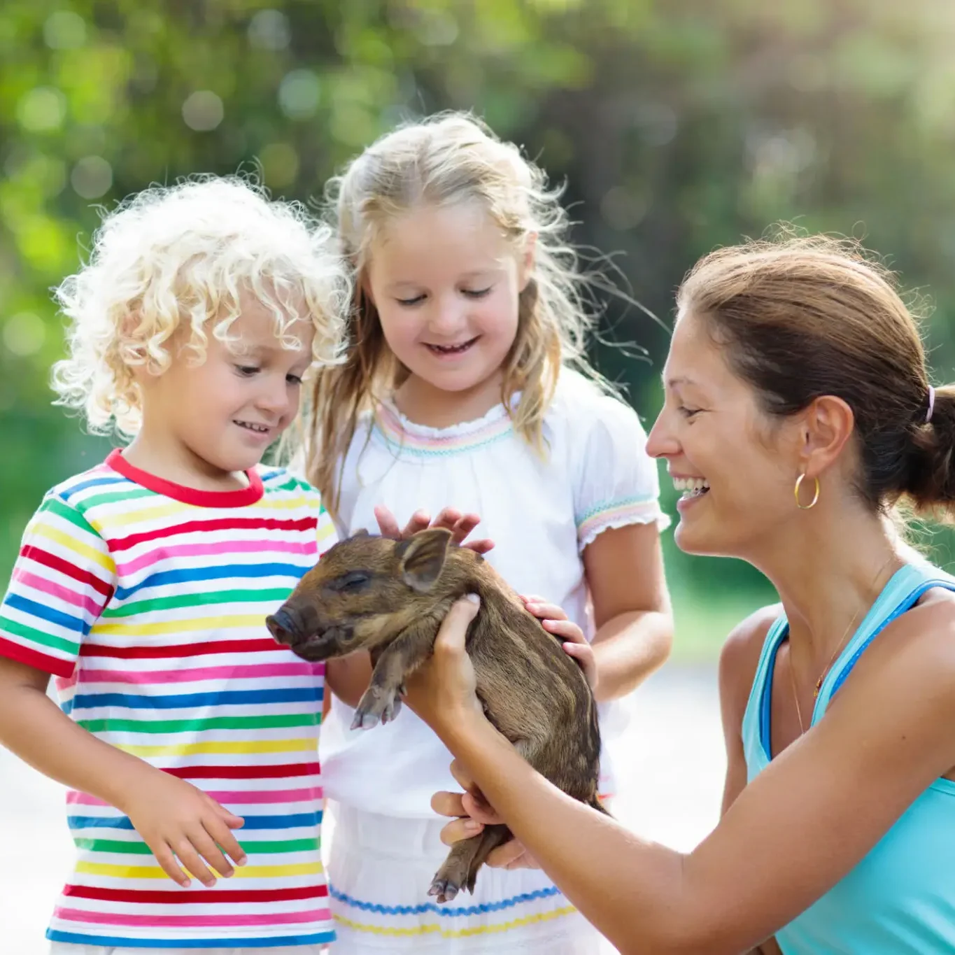 Family enjoying time with a piglet outdoors