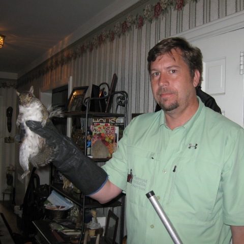 Man holding animal with glove indoors