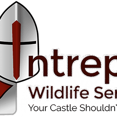 Intrepid Wildlife Services