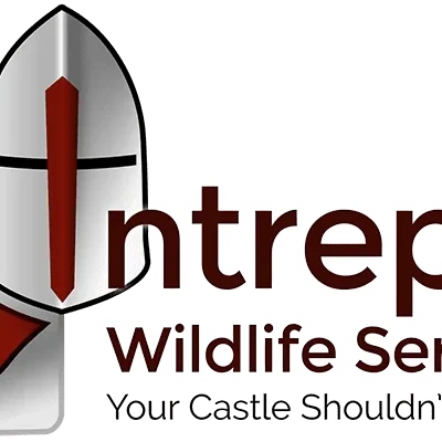 Intrepid Wildlife Services