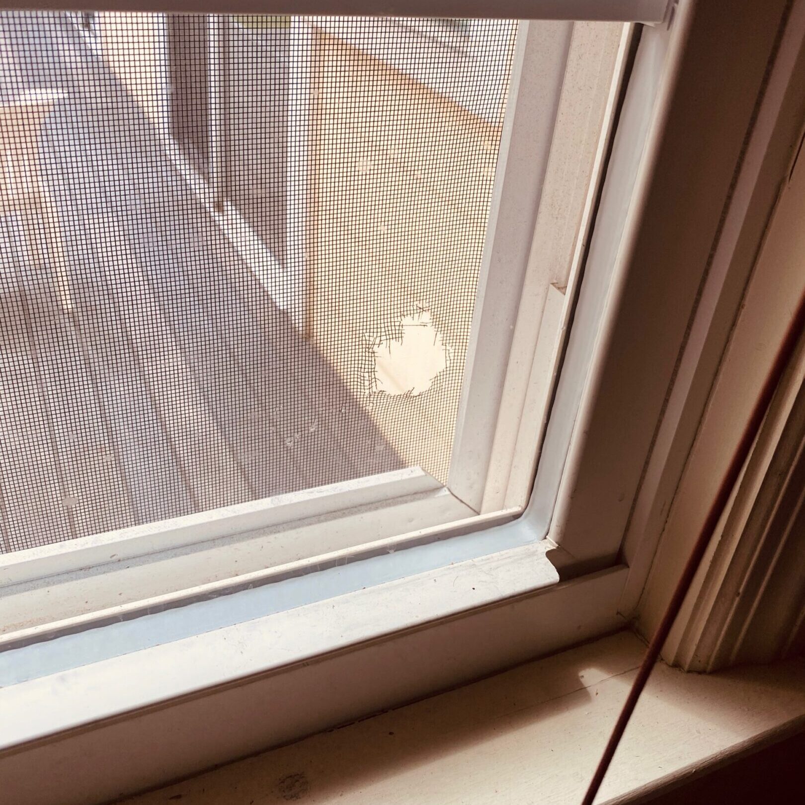 Damaged window screen close-up